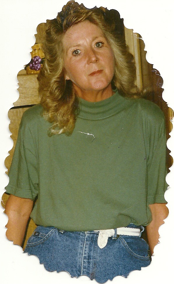 1991 missie